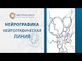 Нейрографика: линия и всё что нужно знать о методе Нейрографика