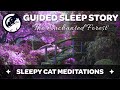 The Enchanted Forest - A Guided Sleep Story Meditation