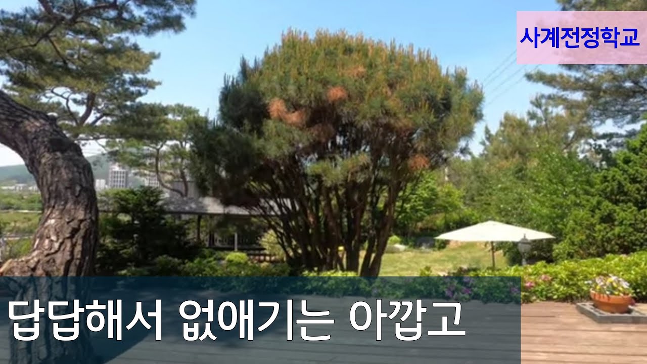 답답해서 없애기는 아깝고 #185사계전정학교 24 05 02