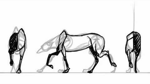 4- Legged walk cycle guide | Darkmane The Werewolf