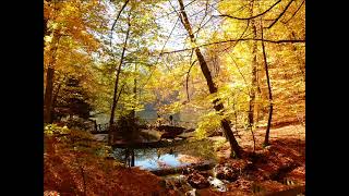 Autumn Photography Autumn Pictures Yedi̇göller Autumn Landscape Sonbahar Manzara Resi̇mleri̇