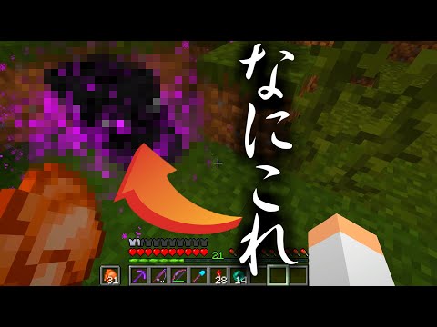 【Minecraft】いやどういうこと？