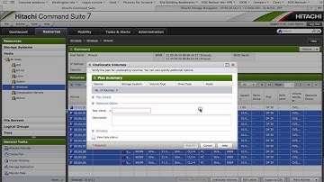 HCS Delete path LDEV