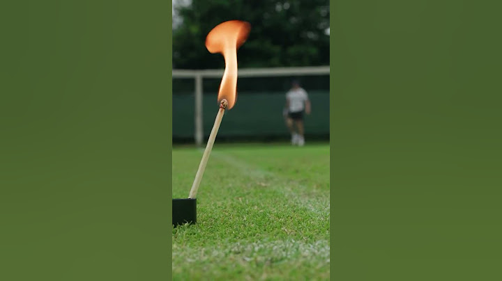 Jannik Sinner'serve is on fire 🦊🌱🔥😅