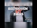 El beethoven de ellos  ceky vicini vs wildboy cooba  dmartino mashup