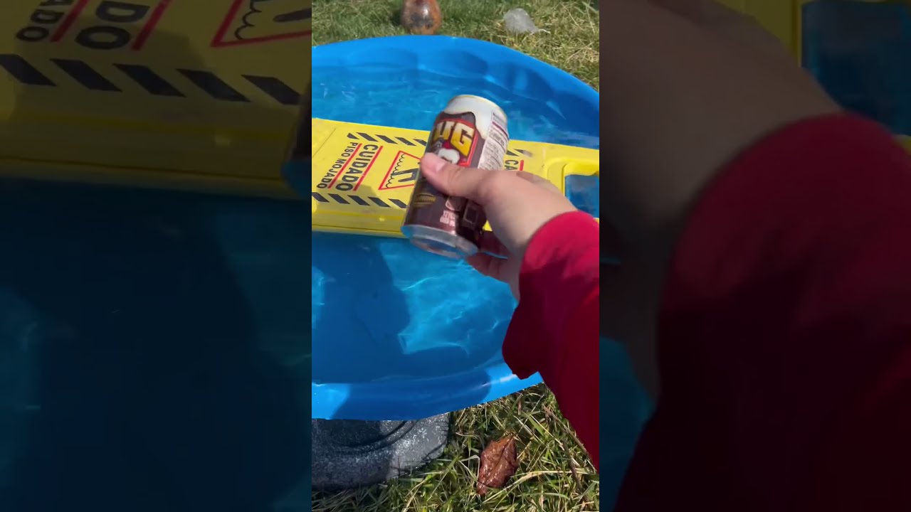 I Do Ponder The Maximum Root Beer Carrying Capacity Of These Various Aquatic Vessels