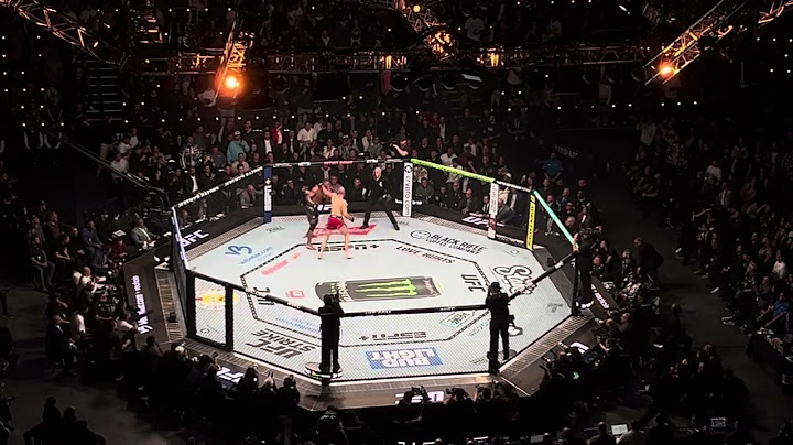UFC 311 JIRI PROCHAZKA VS JAMAL HILL KNOCK OUT INTUIT DOME LOS ANGELES