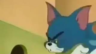 Tom Ve Cerry O Gözəl Xanimdi