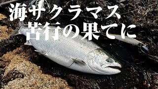 【海サクラ】釣れるまで辞めなければ釣れる【積丹】