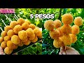 MABENTA DINUDUMOG TRENDING PATOK NA PANGNEGOSYO - CRUNCHY BANANA BALLS!