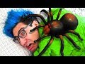 COMPREI UMA ARANHA GIGANTE  ( DE VERDADE ! )