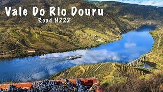 Douro Valley one of the most beautiful roads in the world N222 | cinematic 4K