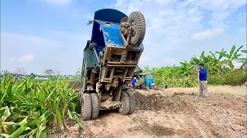 Bác tài công nông vật lộn với chuyến cát đổ ben đầy khó nhọc | Máy xúc doosan 55 múc đất | excavator