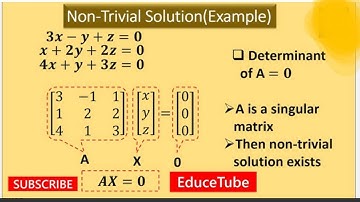 Trivial and Non trivial solution #trivial @bloch_sirahmadani7374
