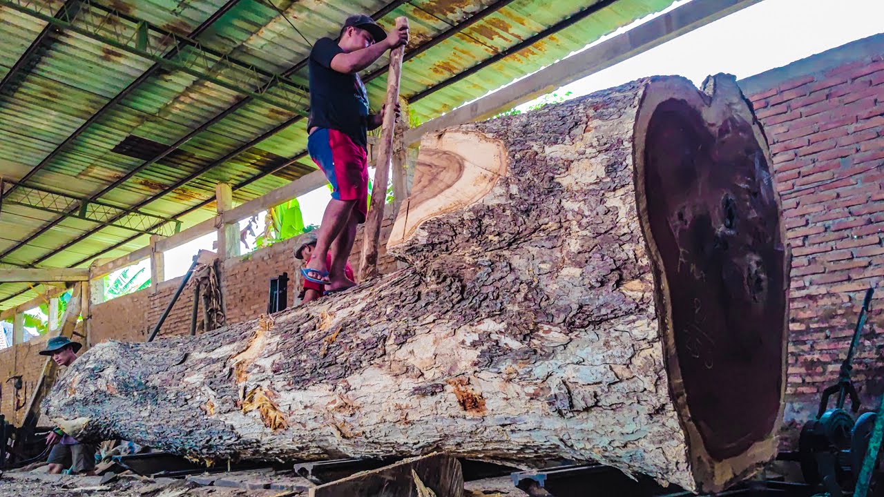 The Most Dangerous Sawmill in the World – Processing Giant Trembesi ...