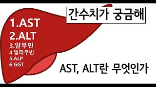 간수치 (간기능검사) - AST, ALT란 무엇인가?