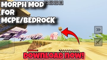 Morph mod for MCPE/bedrock 1.21+ | MORPH MOD for Minecraft pe 1.21+