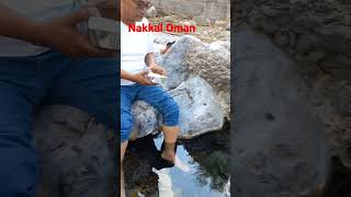 FISH THERAPIE NAKHAL OMAN