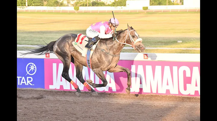 Mouttet Mile 2025 Winner – Rideallday