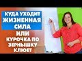 Куда уходит жизненная сила