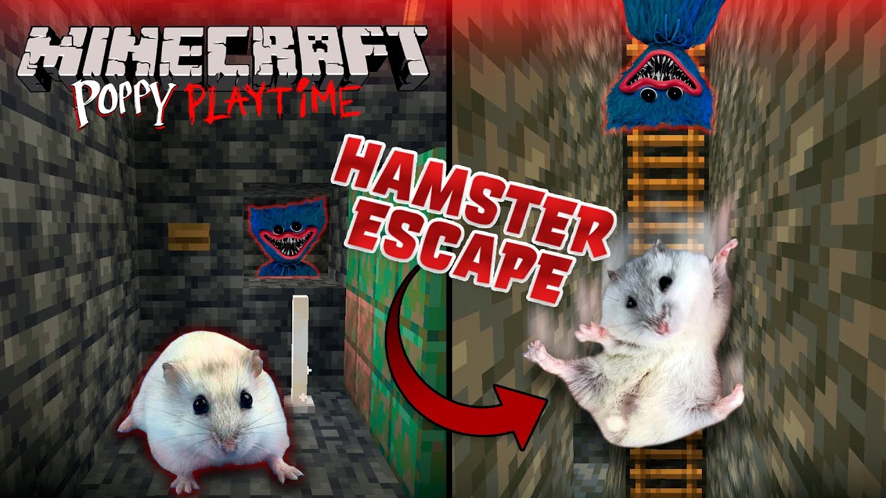 Photo inspiration: Fresh Look at Hamster Escapes From The Minecraft Poppy Playtime Prison Maze