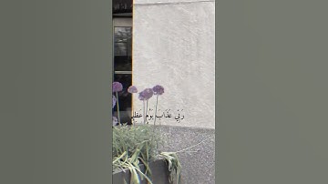 #تلاوة_خاشعة  الشيخ محمد ايوب #اكسبلور #alqari