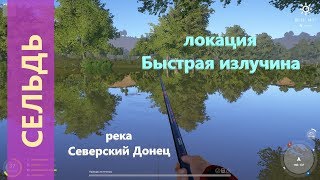 Русская рыбалка 4 - река Северский Донец - Сельдь под другим берегом