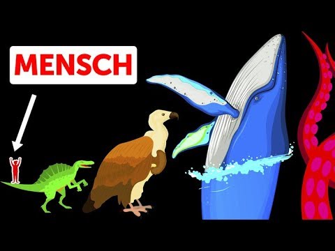 Video: Das Geheimnis Der Robustesten Kreatur Der Erde Wurde Gelüftet - Alternative Ansicht