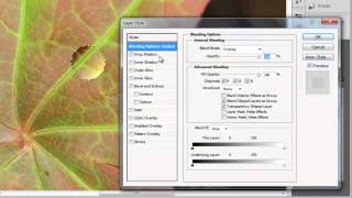 Photoshop CS5 में पानी की बूंदों का इफेक्ट कैसे बनाएं screenshot 1