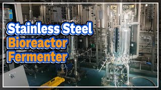 Stainless Steel Bioreactor Fermenter - LABOAO