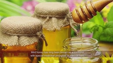 Mùa Ong Bạc Hà Trên Cao Nguyên Đá  [Du Lịch Văn Hóa Việt Nam]