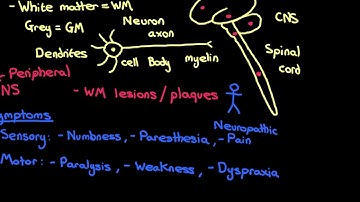 Multiple Sclerosis Part 2