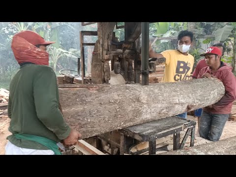 Video: Lebih Banyak Gambar Pemahat Turok Digali