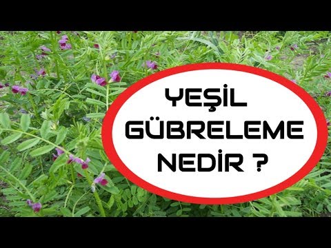 Video: Kompost Ve Yeşil Gübre