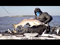 Catching A Bull Redfish From A Kayak Catching A Bull Redfish From A Kayak