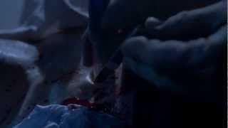 Evan Marks - Everybody wants to be loved (BATB)
