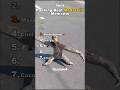 Funniest Medazelliрџ Ј Ranking Medazelli Tiktok Funniest Medazelliрџ Ј Ranking Medazelli Tiktok