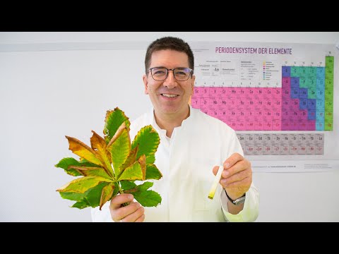 Video: Gartenarbeit im Herbst mit Kindern – lustige Herbstgartenaktivitäten für Kinder