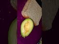 #avocadosandwich