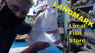 Los Angeles Local Fish Store [A LANDMARK!] - Shop Tour and ***I Had to Buy These Fish!***