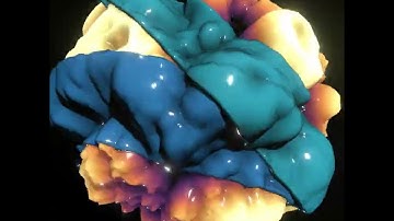 #3dsMax 2024.2 New Conform Modifier Sizzle Reel