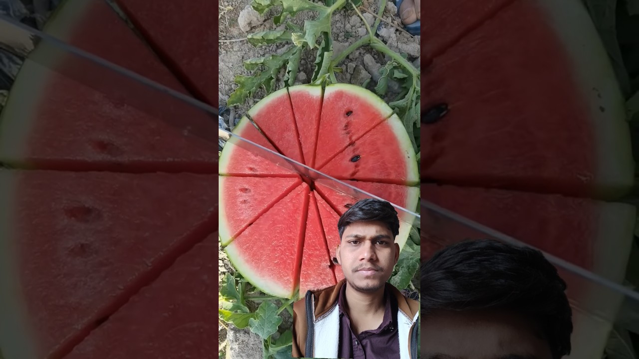 Aduhhh Salah Om ⁉️🍉 