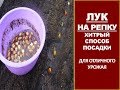 Как сажать лук севок. ХИТРЫЙ СПОСОБ ПОСАДКИ ЛУКА СЕВКА. ПОСАДКА ЛУКА НА РЕПКУ ВЕСНОЙ.