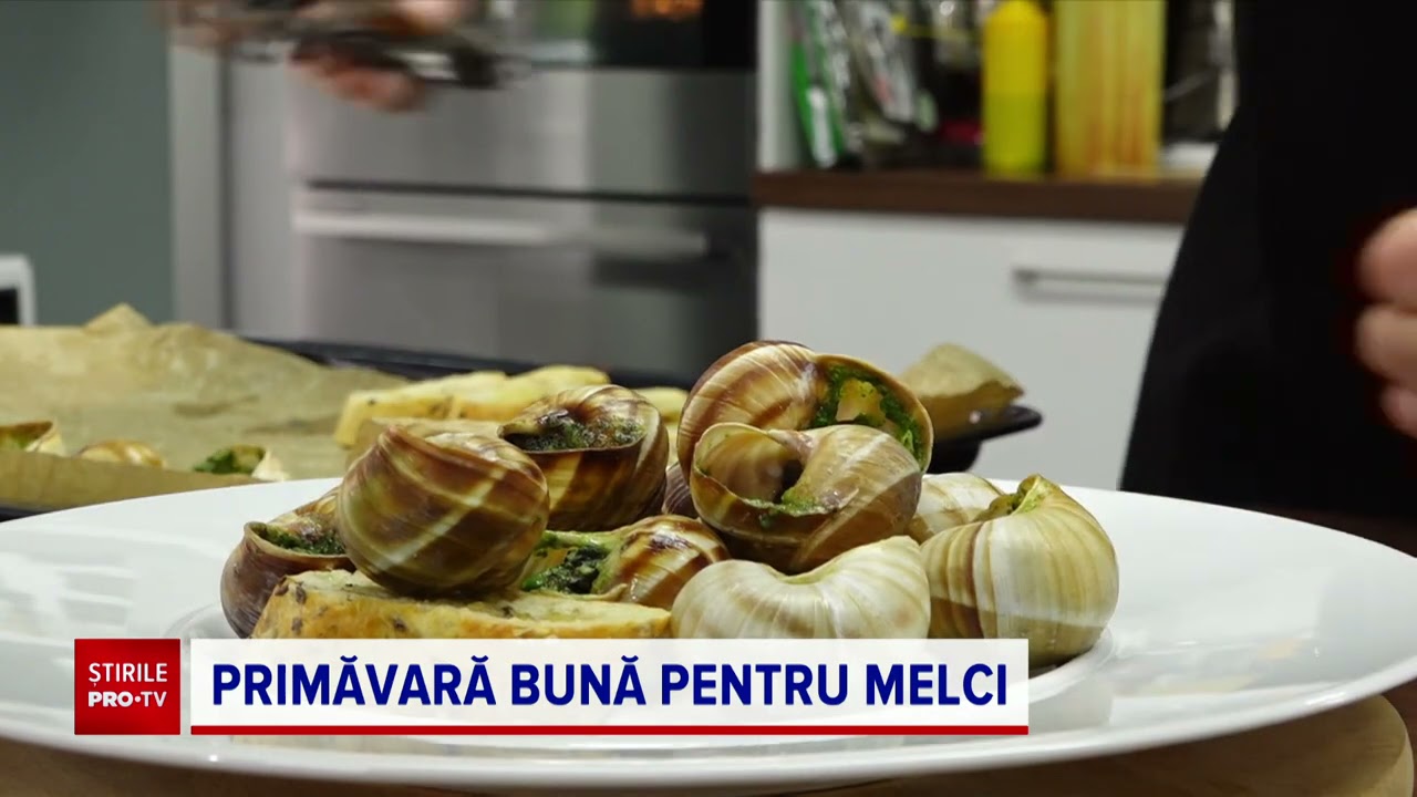 Melcii culeși din pădurile din România sunt la mare căutare în străinătate. Cât costă un kilogram