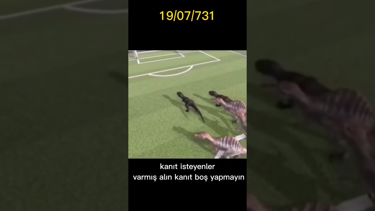 Fenerbahçe Galatasaray 16-0 maçı gerçek!!