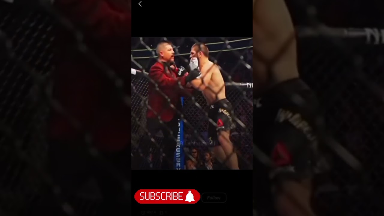 ufc khabib fight corner 