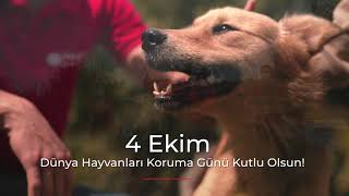 İstegelsin 4 Ekim Dünya Hayvanları Koruma Günü