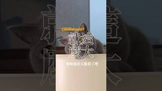 真空燥燥桶30L超大