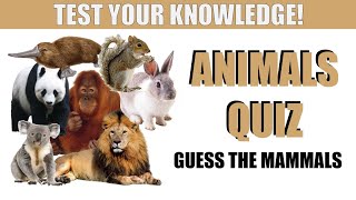 Animals Quiz - Guess the Mammals screenshot 2