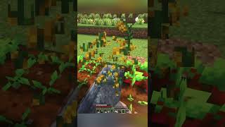 Rice In Minecraft
